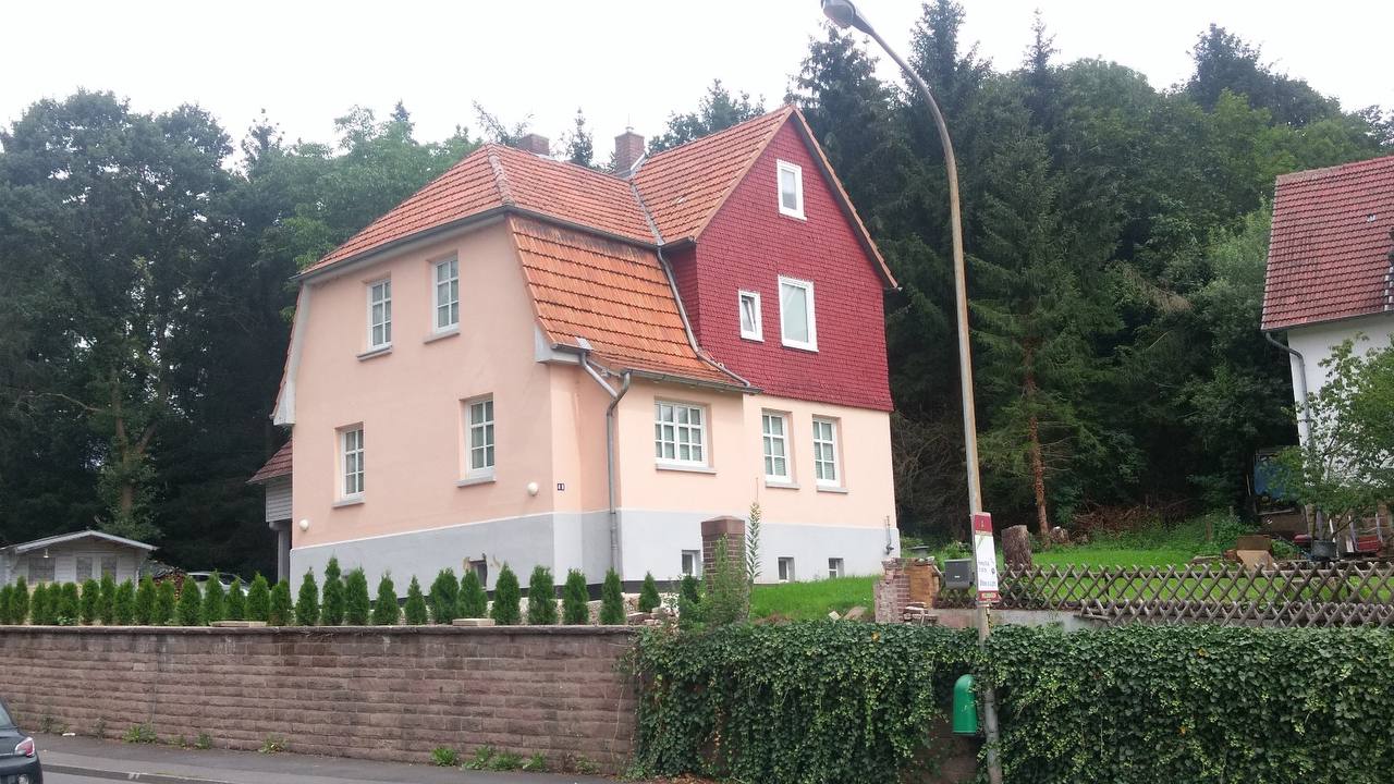 Vorher: Altes Dach
